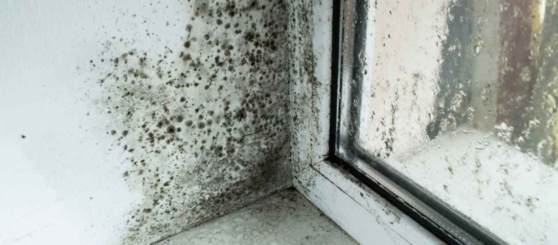 Black mold in the corner of the window sill as a result of too much moisture and humidity.